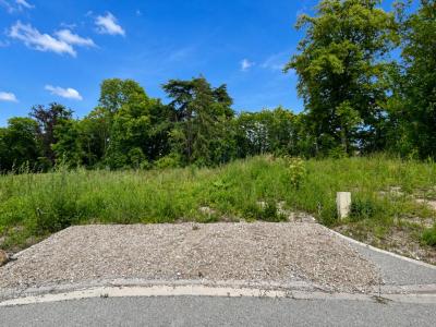 Vente Terrain COULOMMES-LA-MONTAGNE 51390