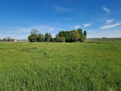 Vente Terrain LANGON 33210