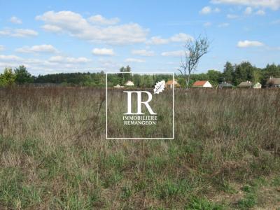 Vente Terrain CHAUMONT-SUR-THARONNE 41600