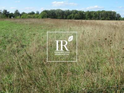Vente Terrain CHAUMONT-SUR-THARONNE 41600