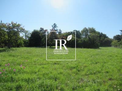 Vente Terrain VOUZON 41600