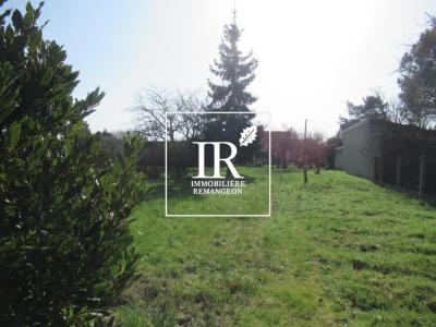 Vente Maison SELLES-SAINT-DENIS 