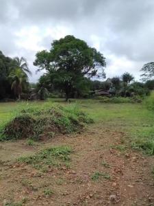 Vente Terrain REMIRE-MONTJOLY 97354