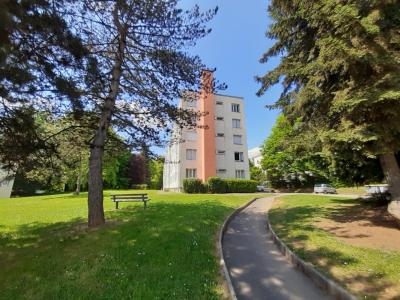 Location Appartement 3 pièces LUXEUIL-LES-BAINS 70300