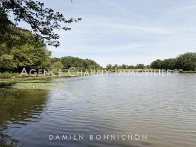 Vente Terrain SAINT-FARGEAU 89170