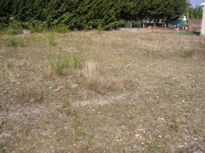 Vente Terrain TAILLAN-MEDOC 33320
