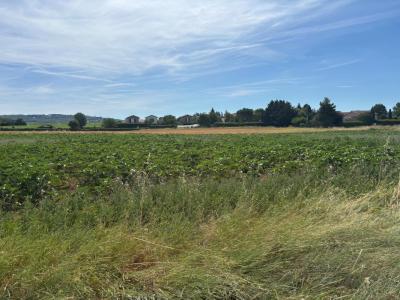 Vente Terrain CHEYSSIEU 38550