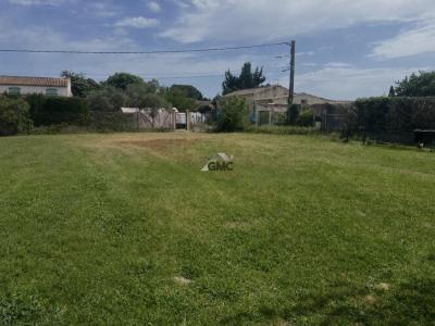 Vente Terrain POUZOLS 34230