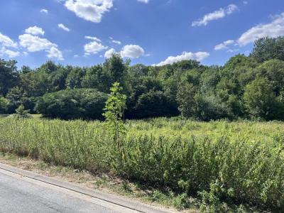 Vente Terrain GUEUX 51390