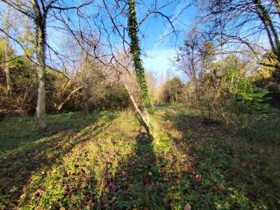 Vente Maison BONNETAN 33370