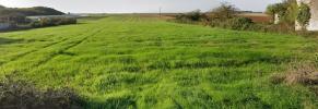 Acheter Terrain Montreuil Vendee