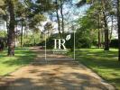 Annonce Vente 5 pi�ces Maison Ferte-saint-aubin