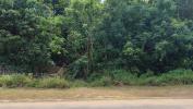 Annonce Vente Terrain Macouria