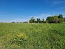 Annonce Vente Terrain Langon