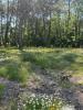 Annonce Vente Terrain Saint-aubin-de-medoc