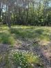 Acheter Terrain 555 m2 Saint-aubin-de-medoc