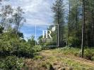 Acheter Prestige 377 m2 Lamotte-beuvron