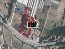 For rent Land Crau  83260 7500 m2