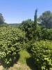 Acheter Maison Bagnols-sur-ceze Gard