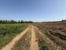 Annonce Vente Terrain 