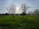 Annonce Vente Terrain Montjoire