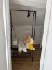 Louer Appartement Lyon-1er-arrondissement 500 euros