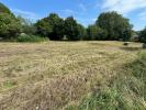Acheter Terrain 13100 m2 Escarmain