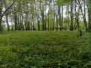 Vente Terrain Faouet 56