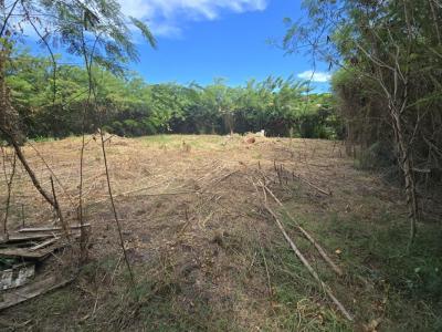 Vente Terrain VAUCLIN 97280