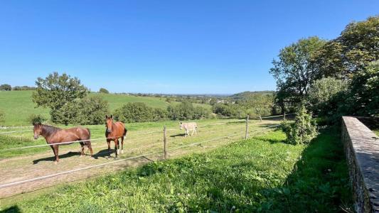 Vente Maison 6 pi�ces MONTIRAT 81190