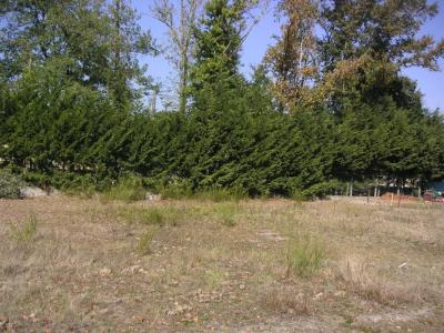 Vente Terrain BRUGES 33520