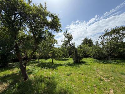 Vente Terrain SAINT-LUBIN-DE-LA-HAYE 28410