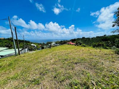 Vente Terrain LORRAIN 97214