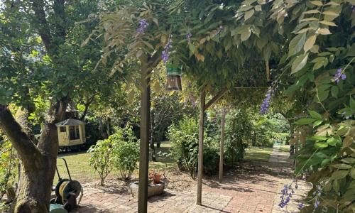 Vente Maison SAINT-VINCENT-SUR-GRAON 