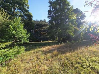 Vente Prestige COSNE-COURS-SUR-LOIRE 58200