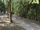 Acheter Prestige Colayrac-saint-cirq 392000 euros