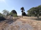 Annonce Vente Terrain Saint-lys