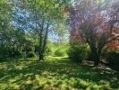 House CATTENIERES 