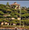 Apartment SAINT-TROPEZ 
