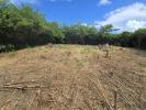 Annonce Vente Terrain Vauclin