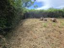 Acheter Terrain Vauclin Martinique
