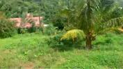 Acheter Terrain 1494 m2 Morne-vert