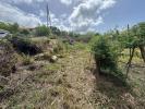 Acheter Terrain Case-pilote Martinique