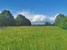 Vente Terrain Cassagne 24120 5580 m2