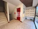 Apartment VILLE-DI-PIETRABUGNO 