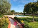Annonce Vente 8 pi�ces Maison Fonsorbes