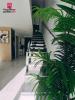 House VIDAUBAN 