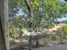 Annonce Vente Terrain Rocbaron