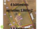 Acheter Local commercial 1360 m2 Lurcy-levis