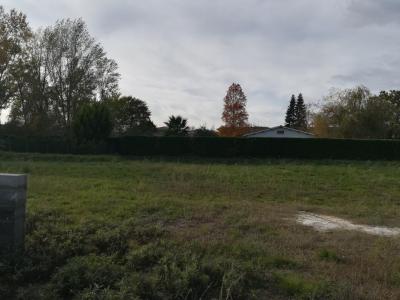 Vente Terrain SAINT-GENES-DE-LOMBAUD 33670